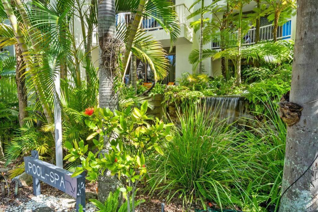 Coco Bella Dream In Surfers Paradise غولد كوست المظهر الخارجي الصورة