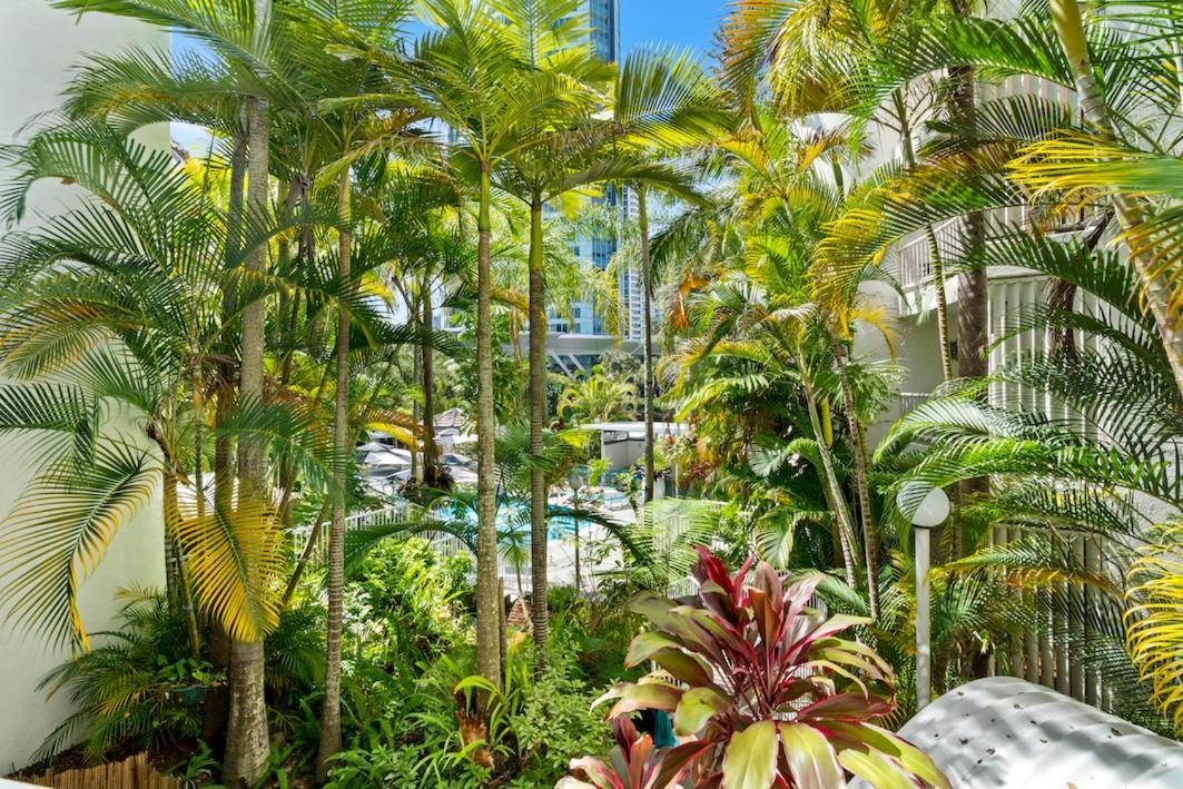 Coco Bella Dream In Surfers Paradise غولد كوست المظهر الخارجي الصورة